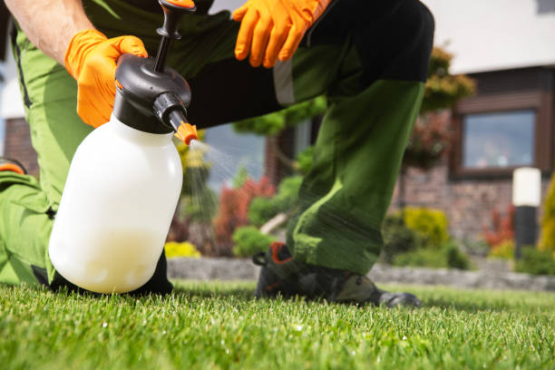 Best Best Pest Control Companies  in Sale Creek, TN